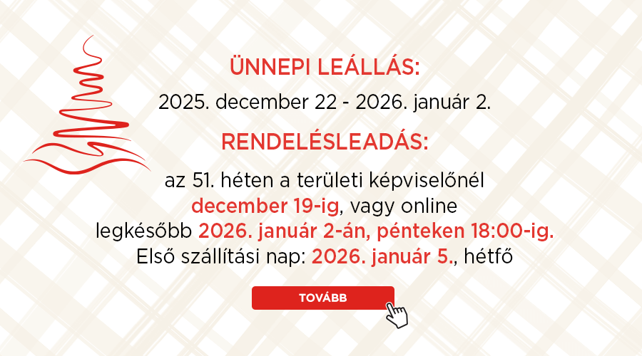 Karácsonyi leállás