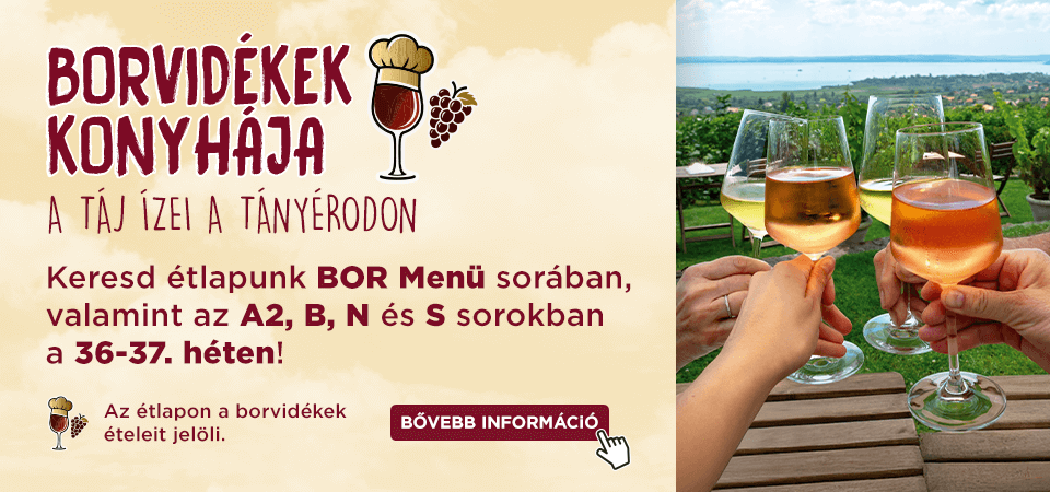 Ismerd meg a borvidékek konyháját!
