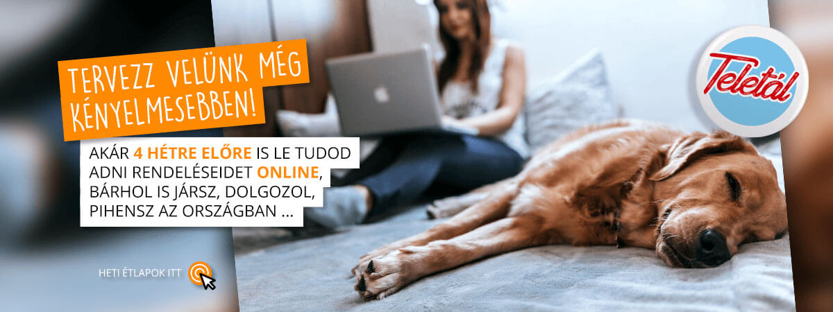 Tervezz velünk!